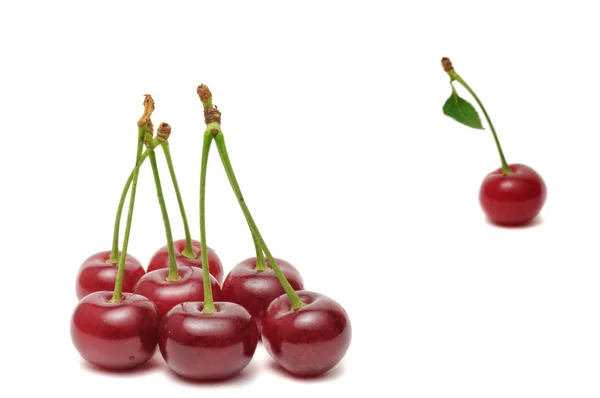 Cherry — Stock Photo, Image