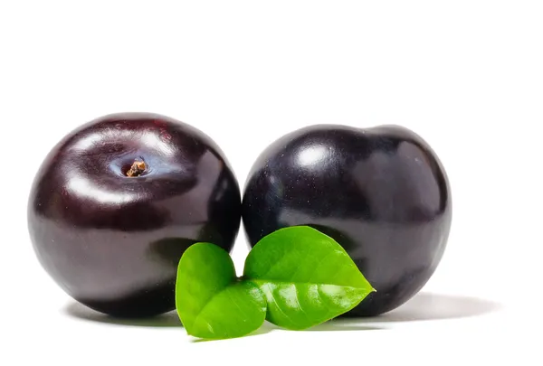 Ripe plum — Stock Photo, Image