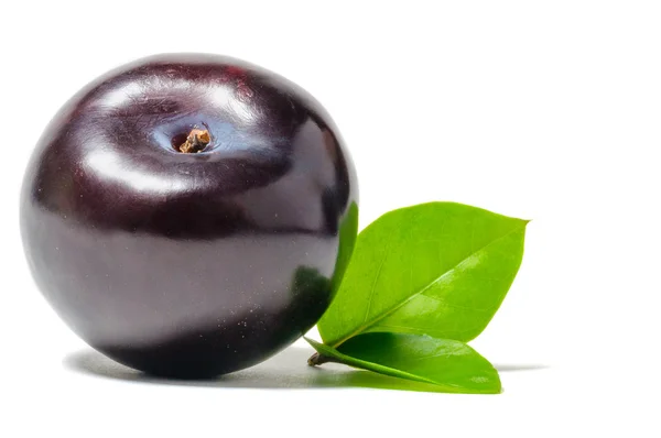 Ripe plum — Stock Photo, Image