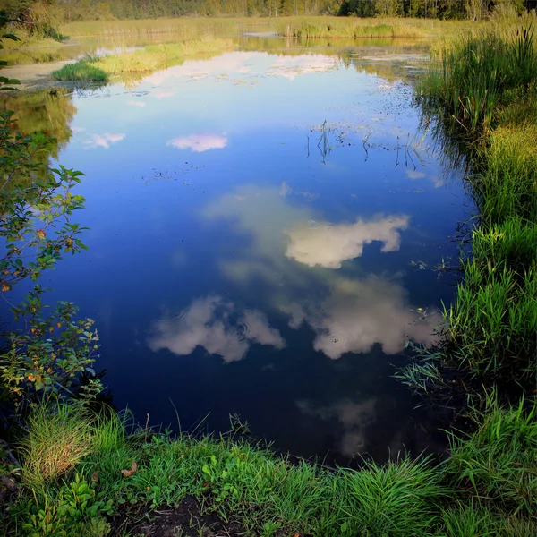 Jezioro krajobraz z odbiciem chmury w nim. — Zdjęcie stockowe