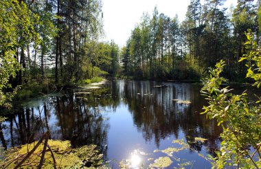 Göl manzara ahşap.