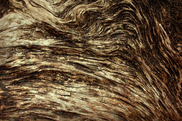 Background of a wooden surface. — Stock Photo, Image