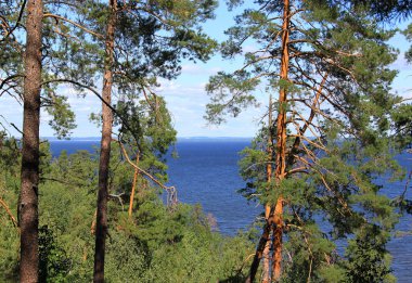 karaya ağaçlarla peyzaj yaz.