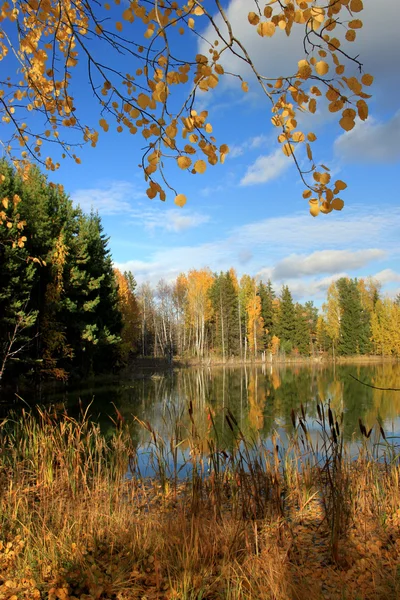 Autumn landscape of the coast of the lake. — Stock Photo, Image