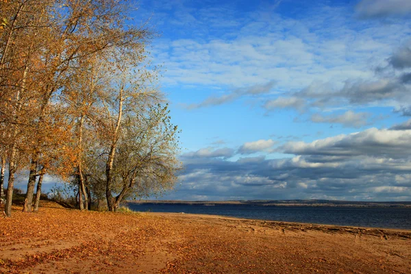 Landscape of the autumn river bank. — Stock Photo, Image