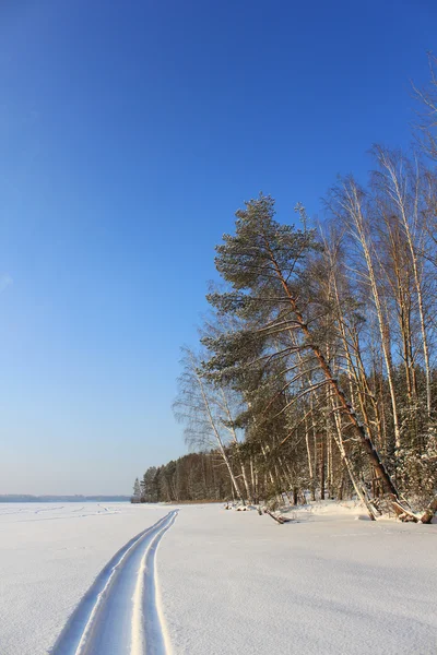 Winterlandschaft am Flussufer. — Stockfoto