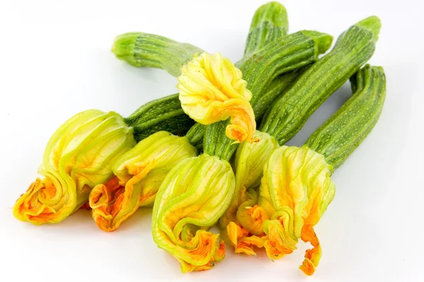 Fiori di zucca — Stock Photo, Image