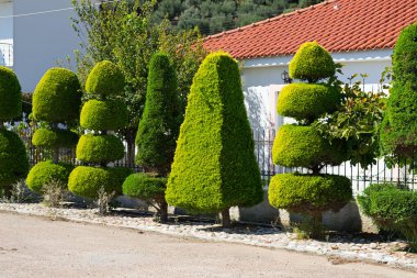 Hedge, sınır