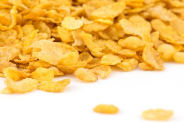 Mısır gevreği tahıl