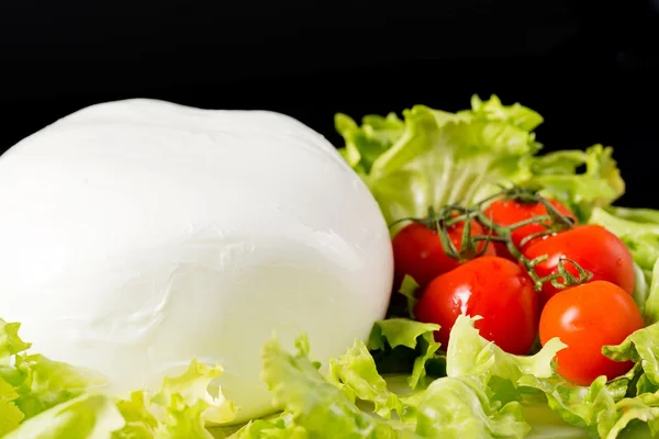 Mozzarella di bufala — Zdjęcie stockowe