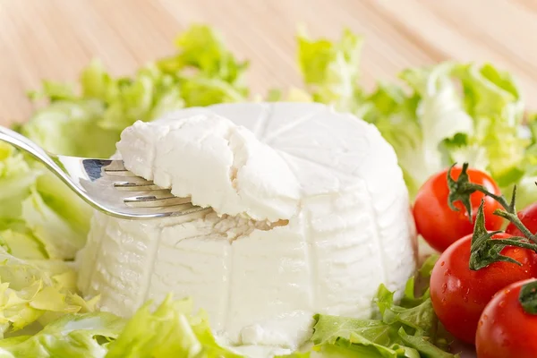 Ricotta di bufala Stock Picture