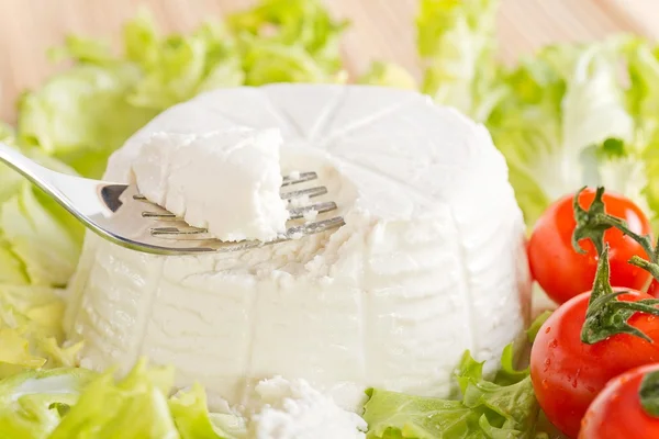 Ricotta di bufala Stock Picture