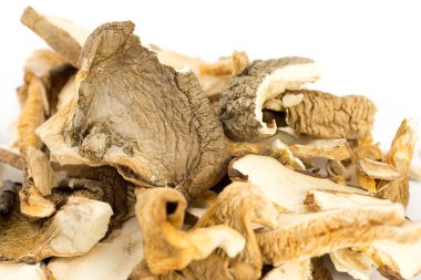 Kuru porcini mantar