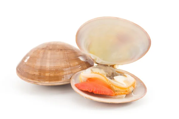 Cockles — Stock Photo, Image