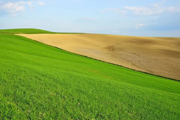 Val d 'Orcia Toscana —  Fotos de Stock