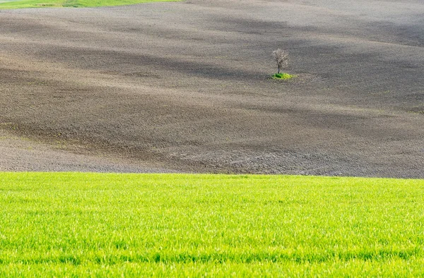 Val d 'Orcia Toscana —  Fotos de Stock