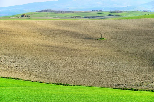 Val d'Orcia Toscana — Foto Stock