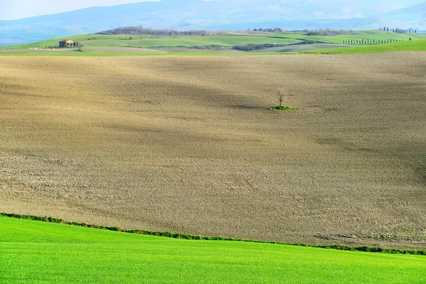 Val D' Orcia Toscana — Stockfoto