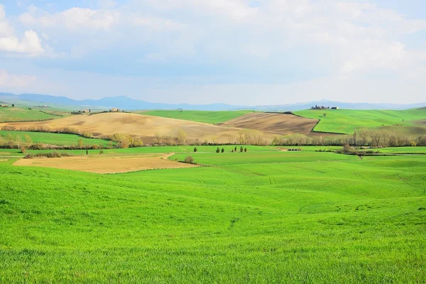 Val D'Orcia Toskania — Zdjęcie stockowe