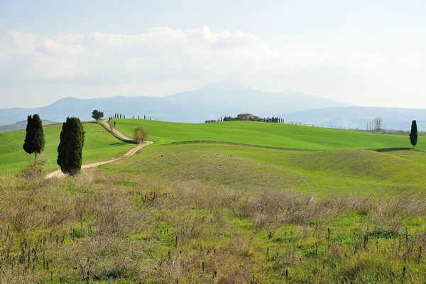 Val d 'Orcia — Stok fotoğraf