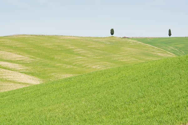 Val d 'Orcia Toscana — Foto de Stock