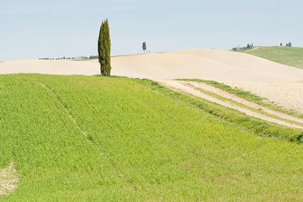 Val d'Orcia Toscana — Foto Stock