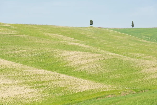 Beautifu landscape of Tuscany, Italy, Val d 'Orcia — стоковое фото