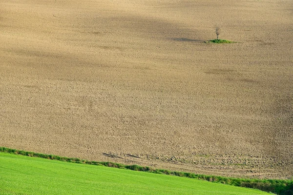 Val d 'Orcia — Stockfoto