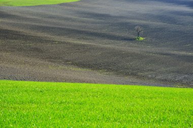 Toskana Beautifu manzara, İtalya, Val d'Orcia