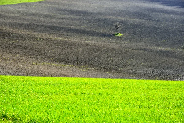 Val d'Orcia Toskania Włochy — Zdjęcie stockowe