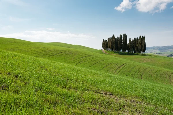 Val d'Orcia Toskania Włochy — Zdjęcie stockowe