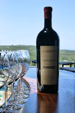 Uruguay. Bodega Garzon. Bir şişe şarap ve şarap kadehi. .