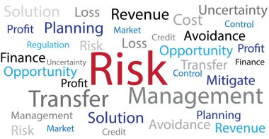 Risk