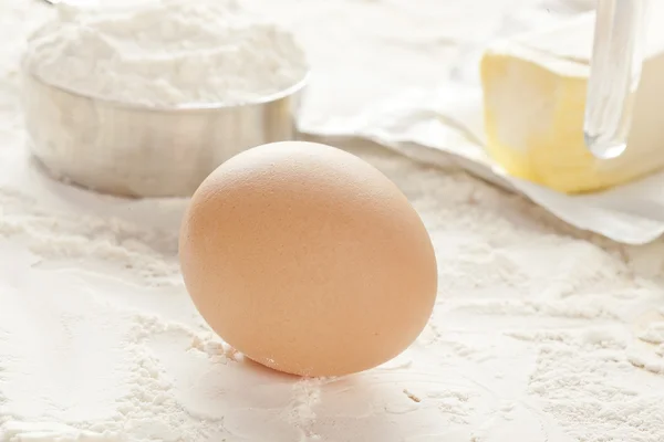 A brown chicken egg — Stock Photo, Image