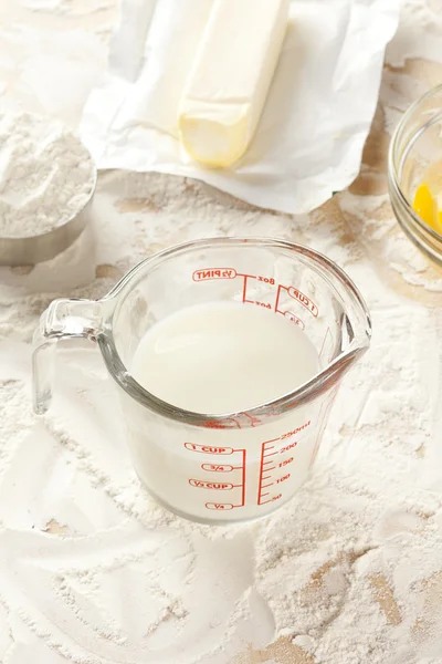 Fresh white milk — Stock Photo, Image