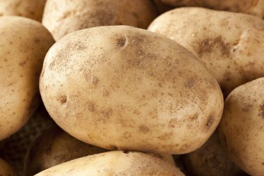 taze organik bütün patates