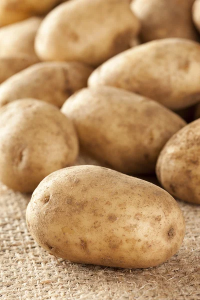 Patata entera orgánica fresca — Foto de Stock