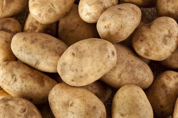 Fresh Organic Whole Potato — Stock Photo, Image