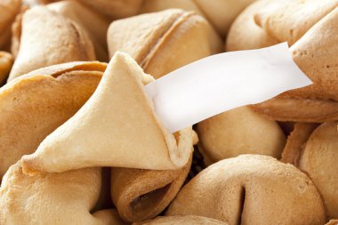 taze yapılmış fal kurabiyesi