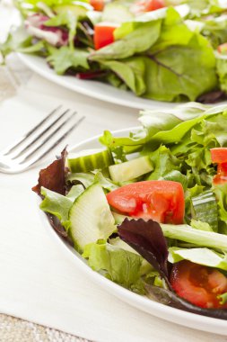 taze yeşil organik bahçe salatası