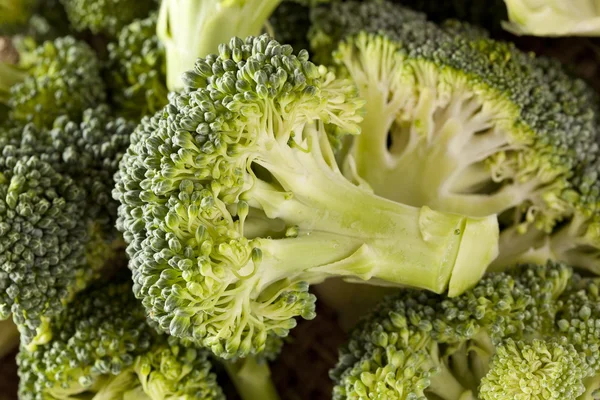 Fresh Green Organic Broccoli — Stock Photo, Image