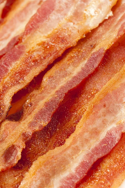 Bacon grasso cotto — Foto Stock