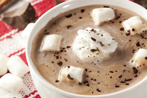 Gourmet Hot Chocolate — Stock Photo, Image