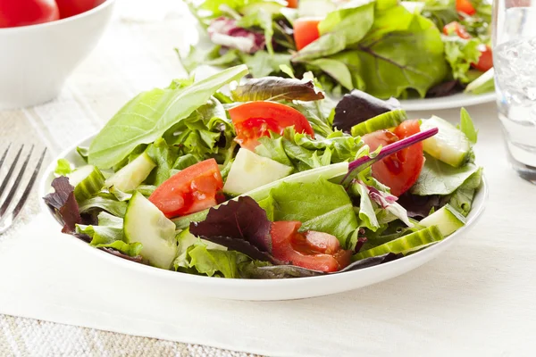 Fresh Green Organic Garden Salad — Stock Photo, Image
