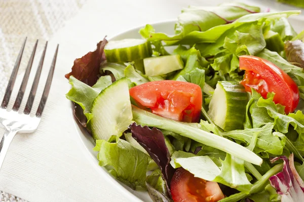 Čerstvý zelený bio zeleninový salát — Stock fotografie