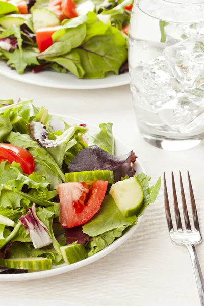 Ensalada de jardín ecológico verde fresco —  Fotos de Stock