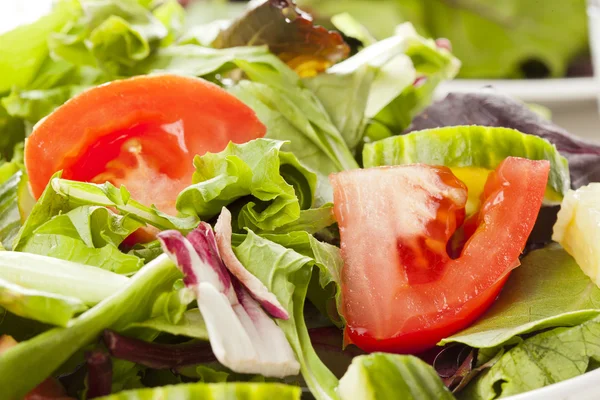 Fresh Green Organic Garden Salad — Stock Photo, Image