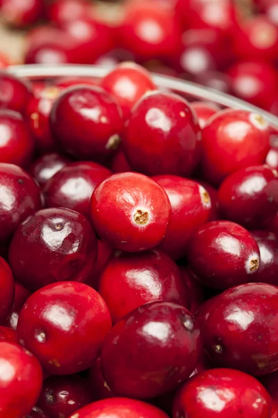 红色的成熟小红莓 — 图库照片