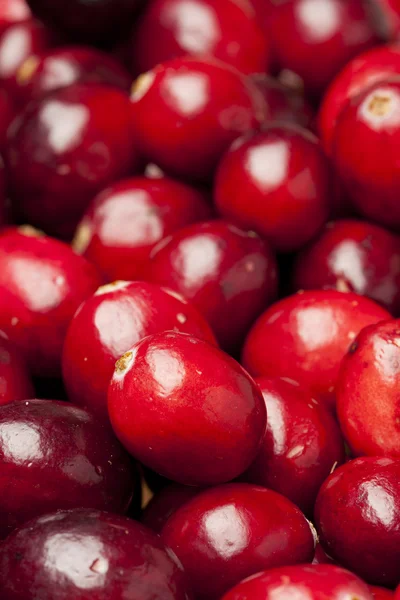 Red Ripe Cranberry — Stock Photo, Image