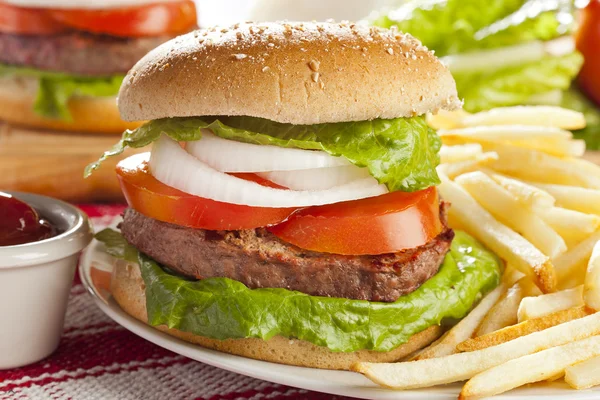 Domácí hamburger organické — Stock fotografie